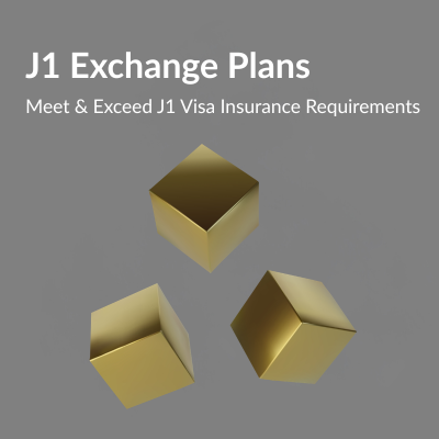 J1 Visitors Plans